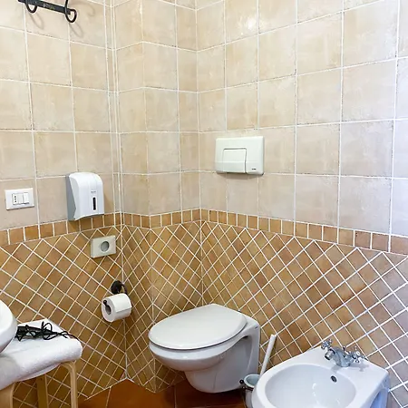 San Francesco 시에나