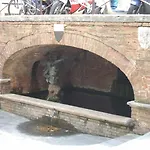 San Francesco סיינה