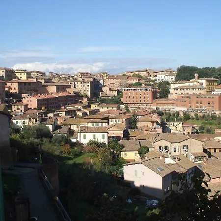 San Francesco Siena