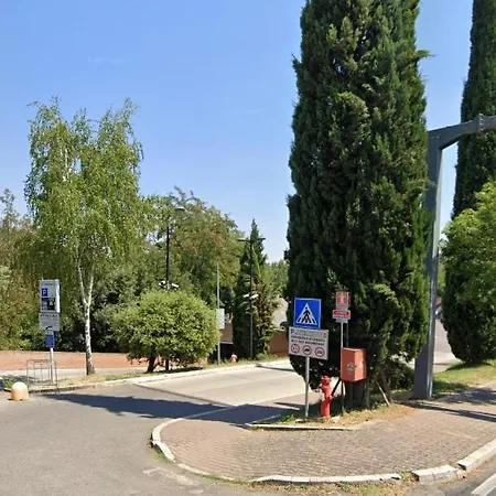 San Francesco Siena